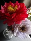 Fleurs en sucre