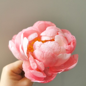 Formation Fleurs en Wafer Paper